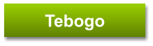Tebogo