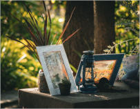BigtreeBB - Dining, Flowers, Garden Wedding, Kuierplek Lapa