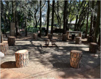 BigtreeBB - Dining, Flowers, Garden Wedding, Kuierplek Lapa