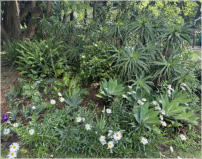 BigtreeBB - Dining, Flowers, Garden Wedding, Kuierplek Lapa