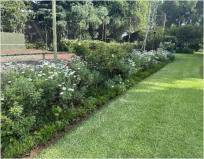 BigtreeBB - Dining, Flowers, Garden Wedding, Kuierplek Lapa