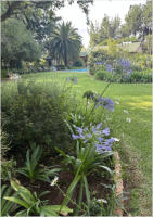 BigtreeBB - Dining, Flowers, Garden Wedding, Kuierplek Lapa