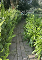 BigtreeBB - Dining, Flowers, Garden Wedding, Kuierplek Lapa