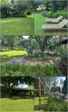 BigtreeBB - Dining, Flowers, Garden Wedding, Kuierplek Lapa