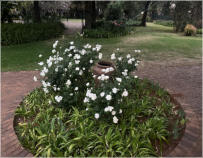 BigtreeBB - Dining, Flowers, Garden Wedding, Kuierplek Lapa
