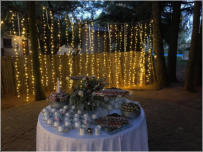 BigtreeBB - Dining, Flowers, Garden Wedding, Kuierplek Lapa