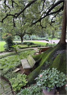 BigtreeBB - Dining, Flowers, Garden Wedding, Kuierplek Lapa