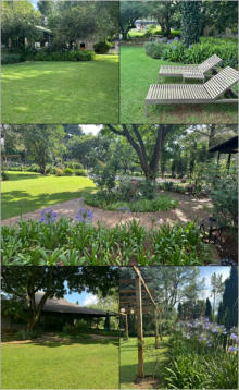 BigtreeBB - Dining, Flowers, Garden Wedding, Kuierplek Lapa